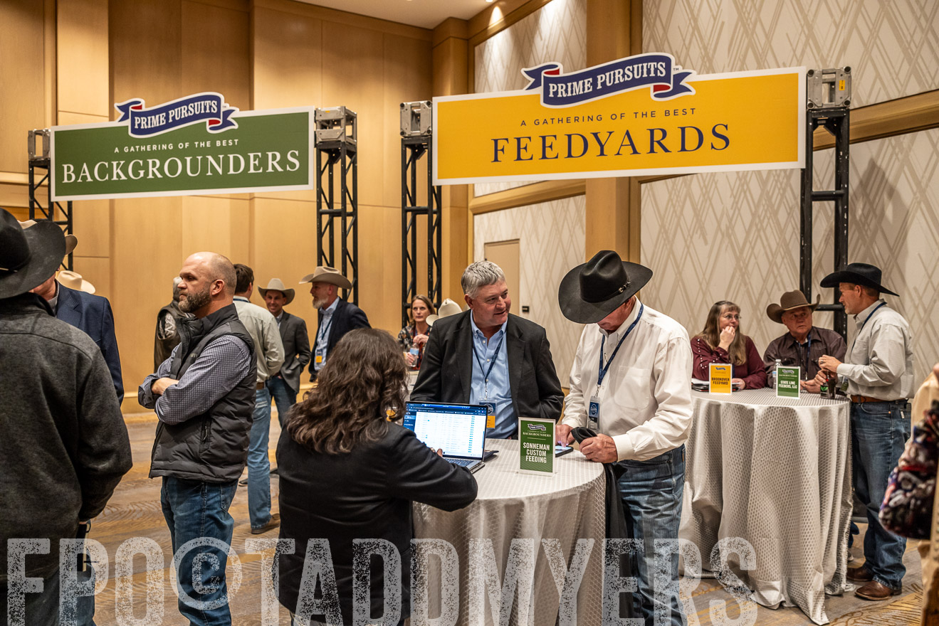 TMyers_PP_Summit_Scottsdale_Jan2025-516835