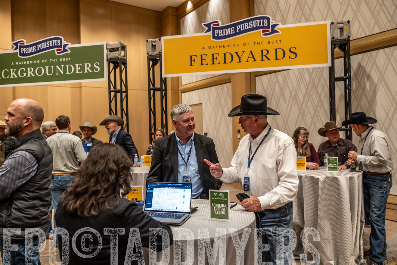 TMyers_PP_Summit_Scottsdale_Jan2025-516842