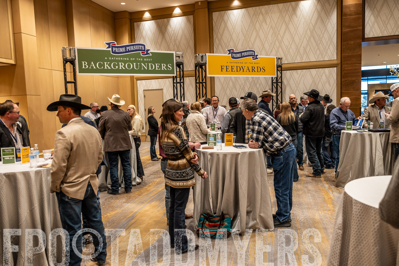 TMyers_PP_Summit_Scottsdale_Jan2025-516867