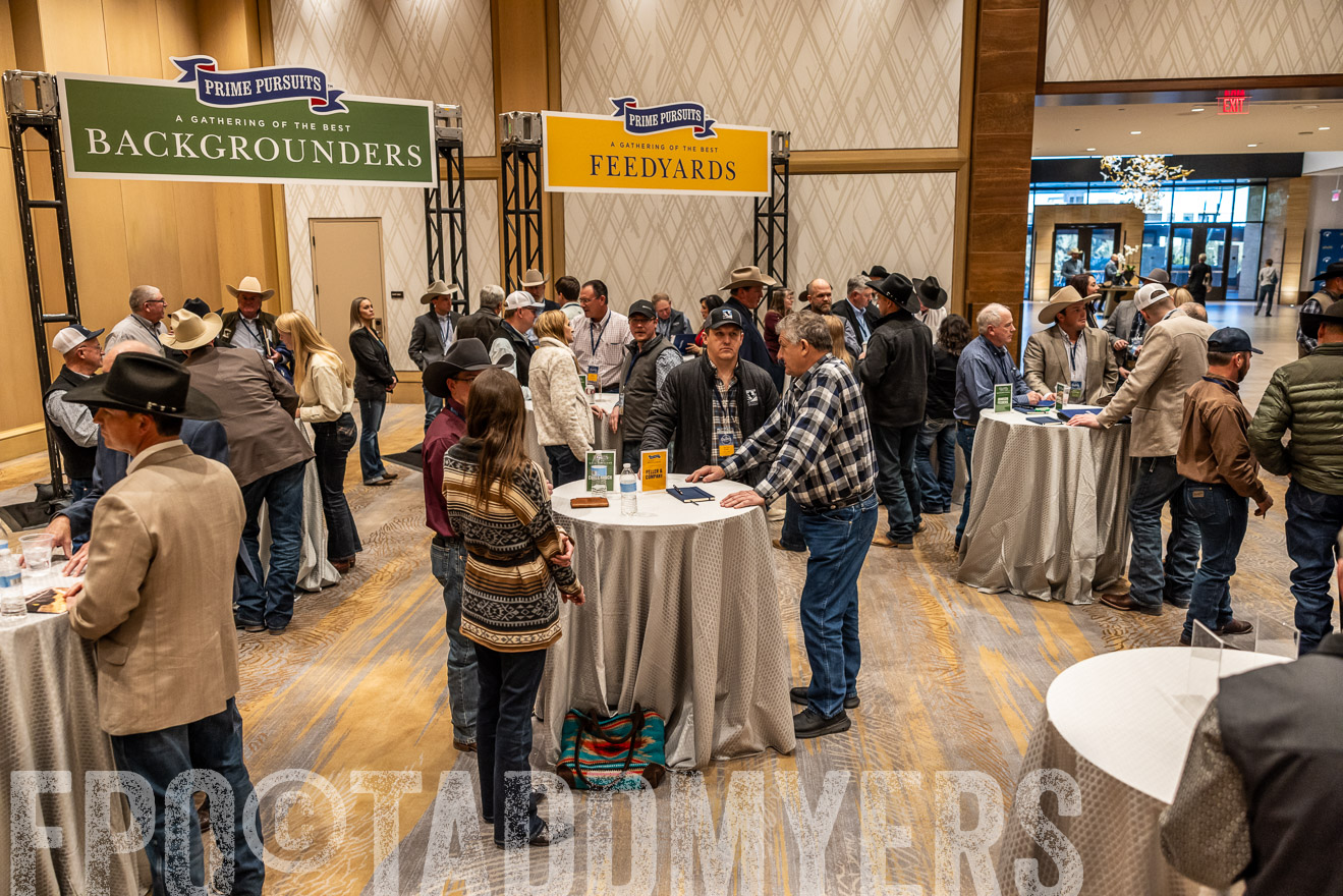 TMyers_PP_Summit_Scottsdale_Jan2025-516877