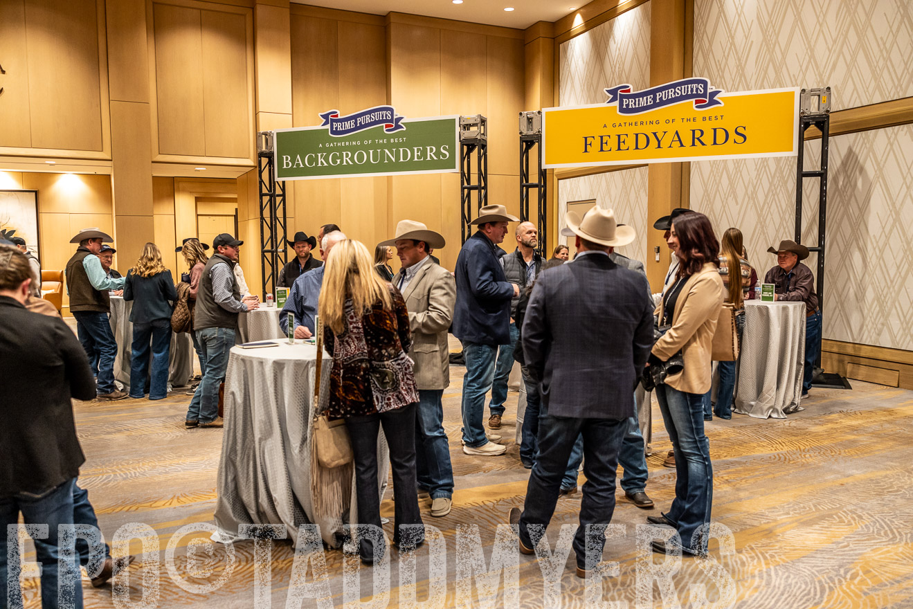 TMyers_PP_Summit_Scottsdale_Jan2025-516965