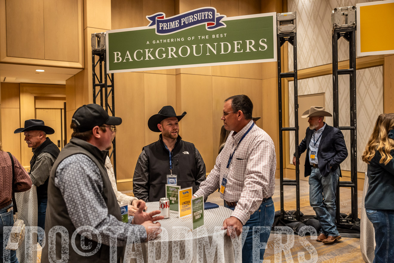 TMyers_PP_Summit_Scottsdale_Jan2025-516968