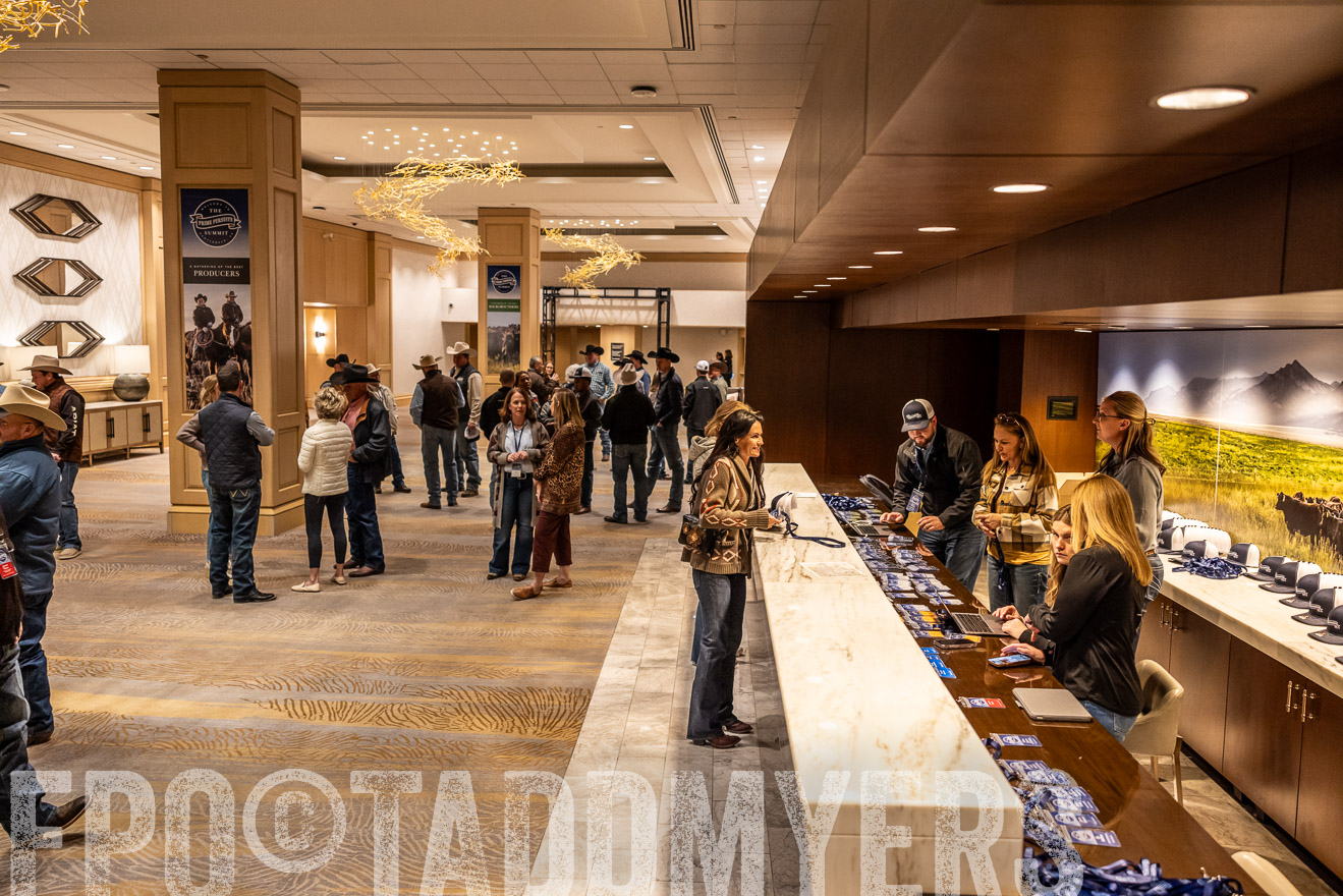 TMyers_PP_Summit_Scottsdale_Jan2025-518223