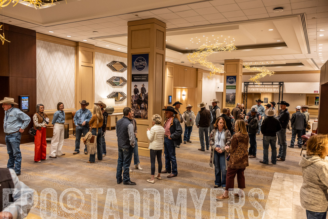 TMyers_PP_Summit_Scottsdale_Jan2025-518252