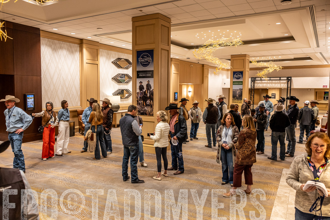 TMyers_PP_Summit_Scottsdale_Jan2025-518255
