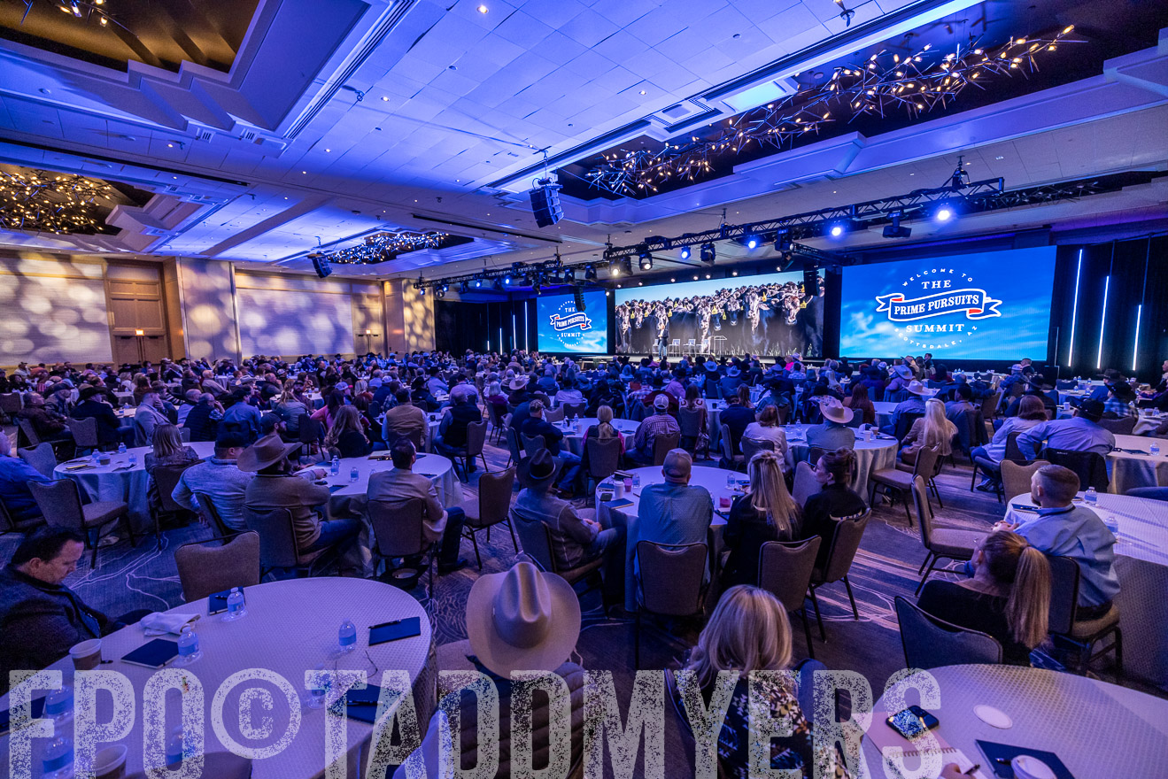 TMyers_PP_Summit_Scottsdale_Jan2025-519031