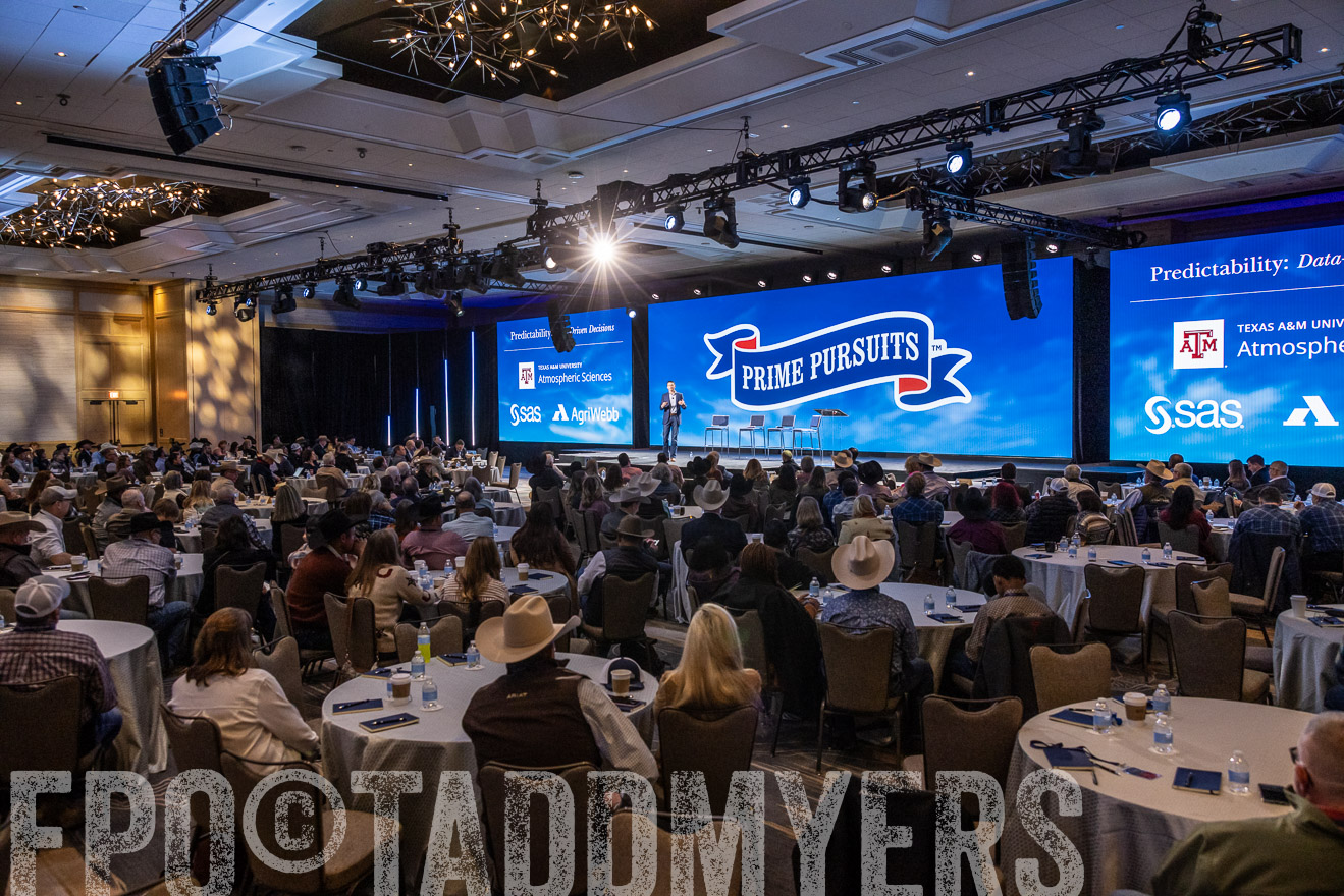 TMyers_PP_Summit_Scottsdale_Jan2025-519360