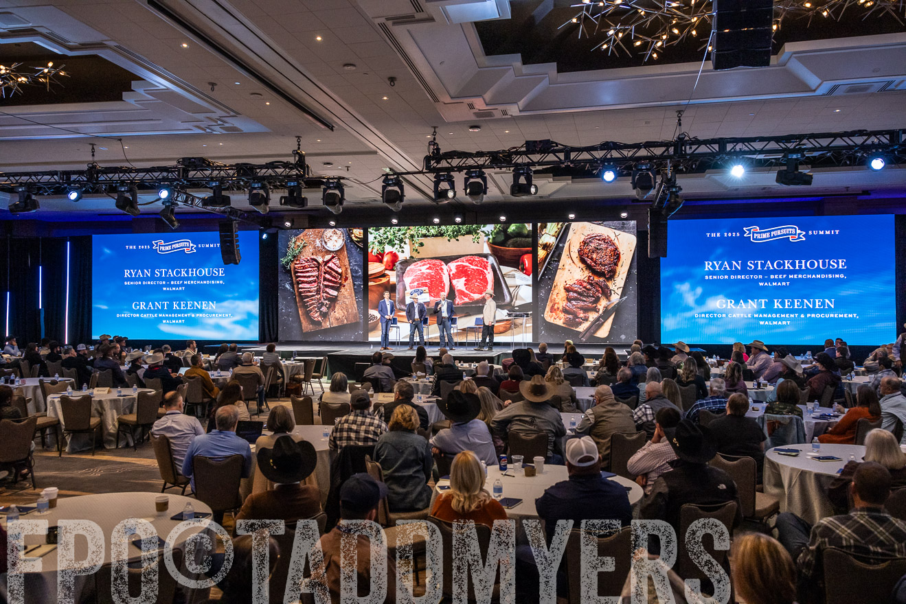 TMyers_PP_Summit_Scottsdale_Jan2025-519499