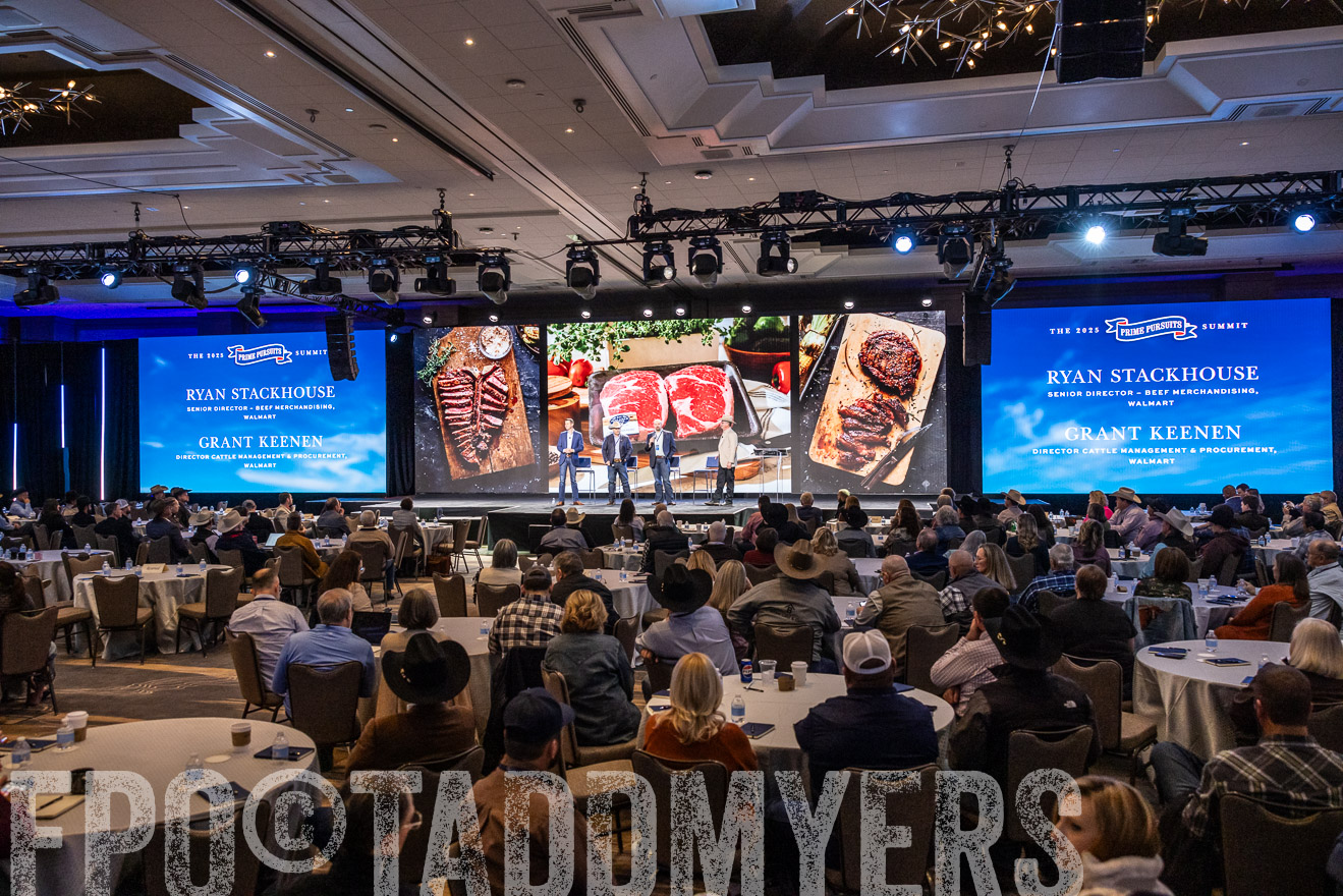 TMyers_PP_Summit_Scottsdale_Jan2025-519508