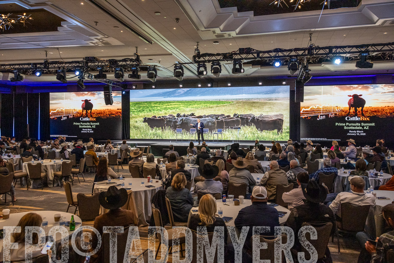 TMyers_PP_Summit_Scottsdale_Jan2025-519666
