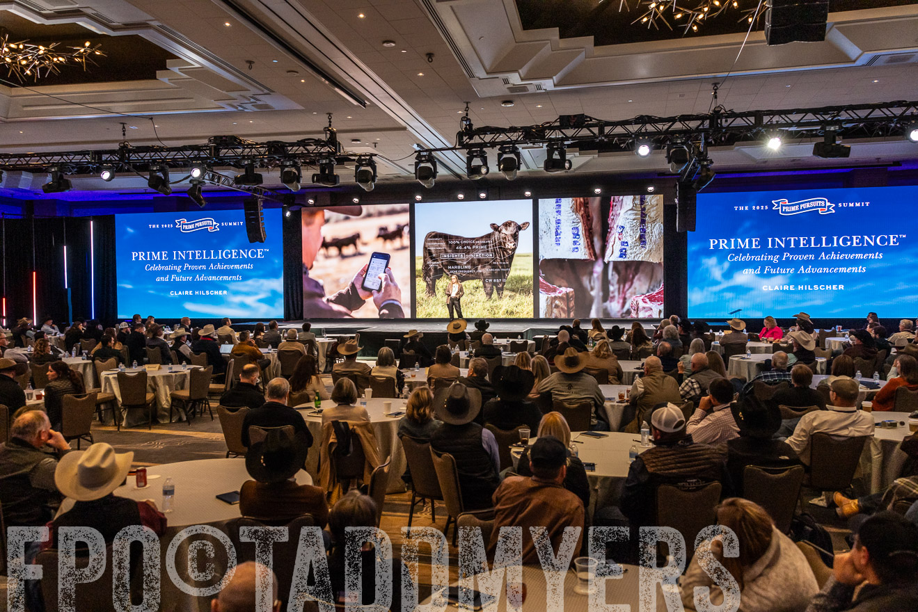 TMyers_PP_Summit_Scottsdale_Jan2025-515776