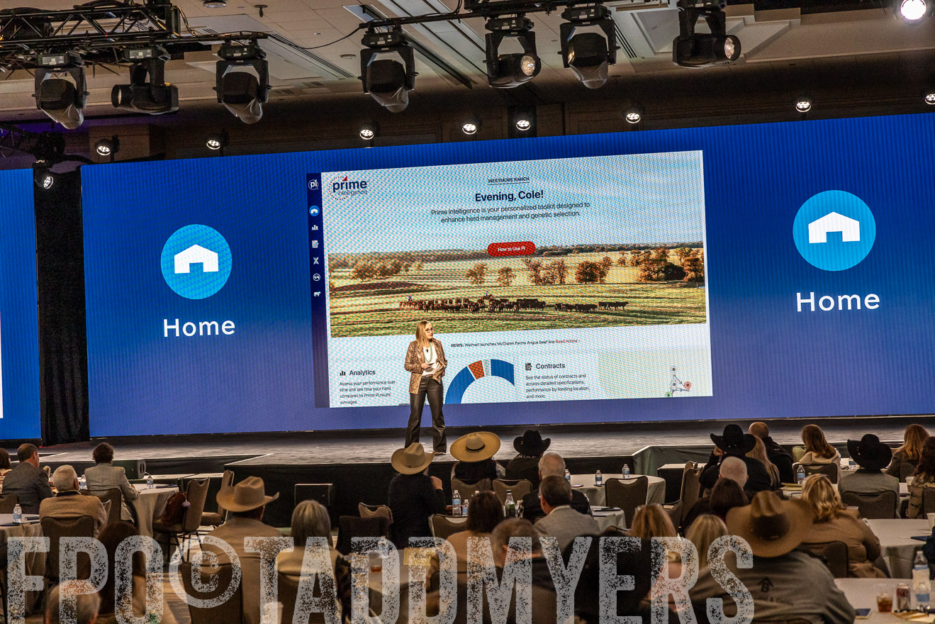 TMyers_PP_Summit_Scottsdale_Jan2025-515801
