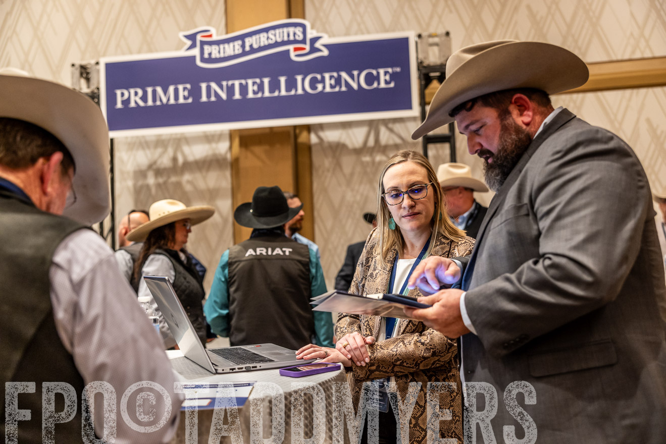 TMyers_PP_Summit_Scottsdale_Jan2025-516584