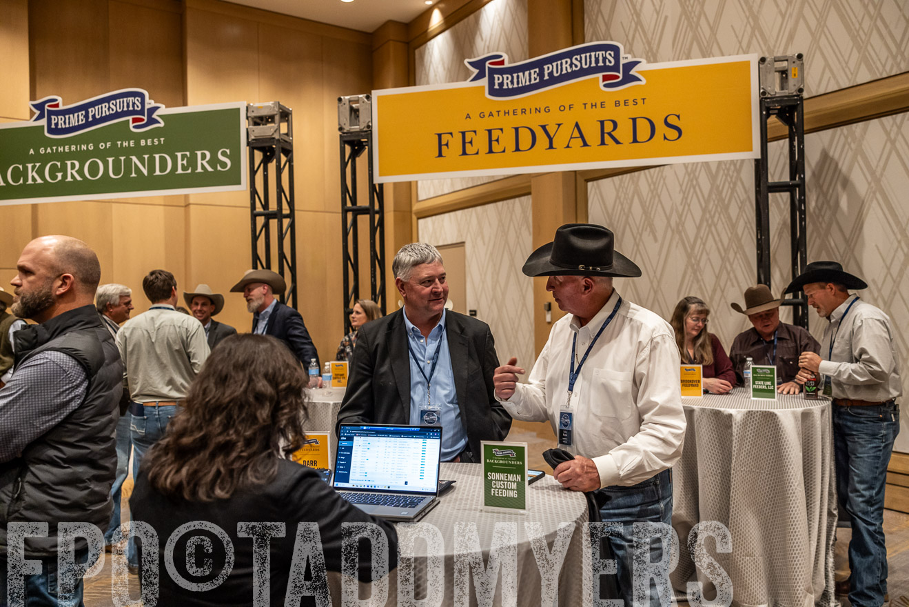 TMyers_PP_Summit_Scottsdale_Jan2025-516845