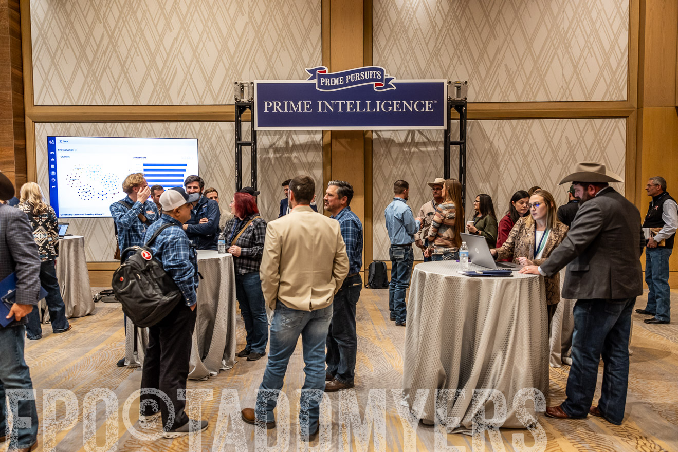 TMyers_PP_Summit_Scottsdale_Jan2025-516932