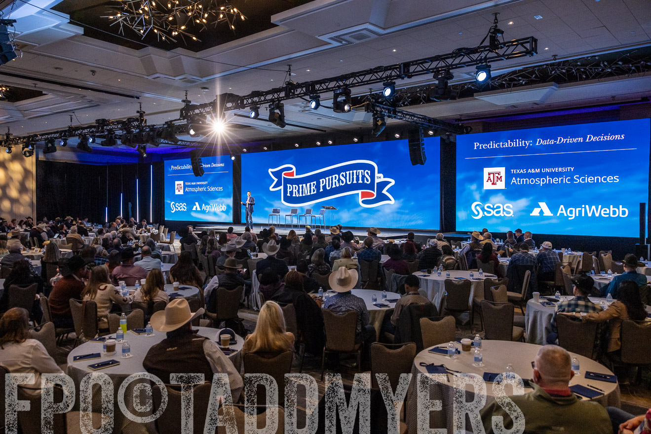 TMyers_PP_Summit_Scottsdale_Jan2025-519357