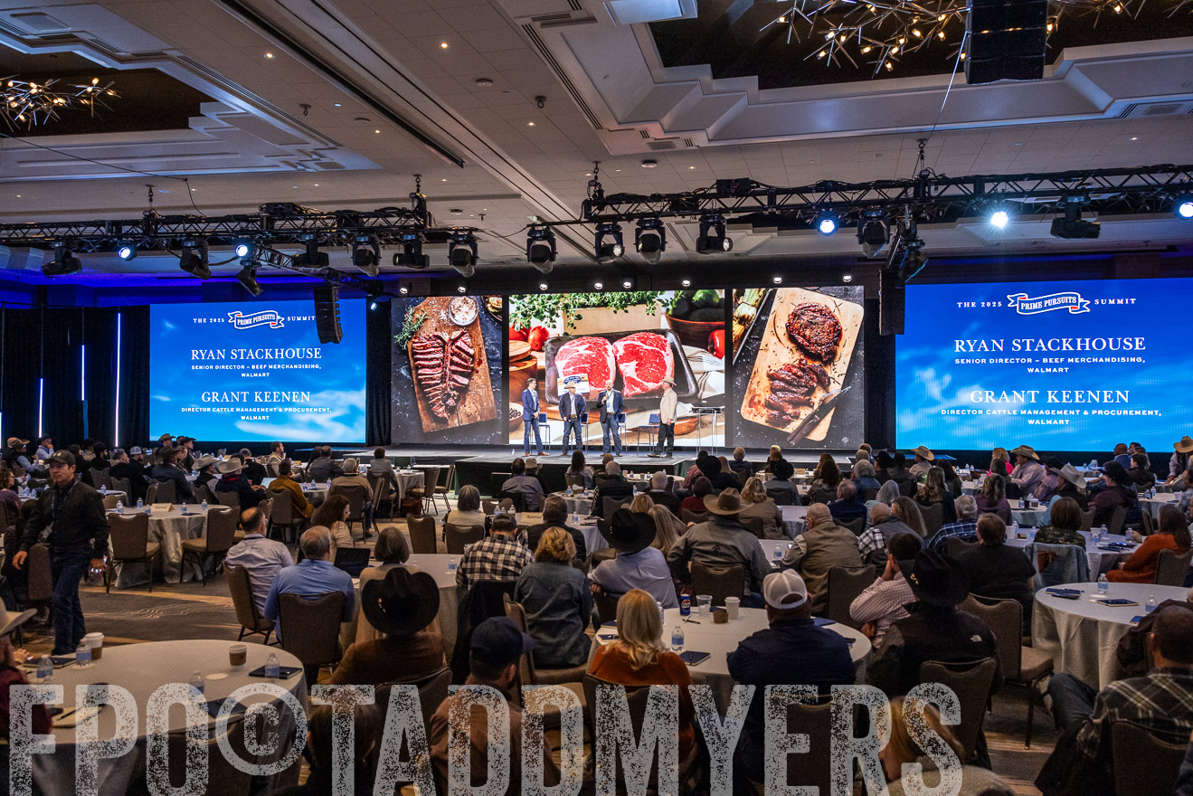 TMyers_PP_Summit_Scottsdale_Jan2025-519493