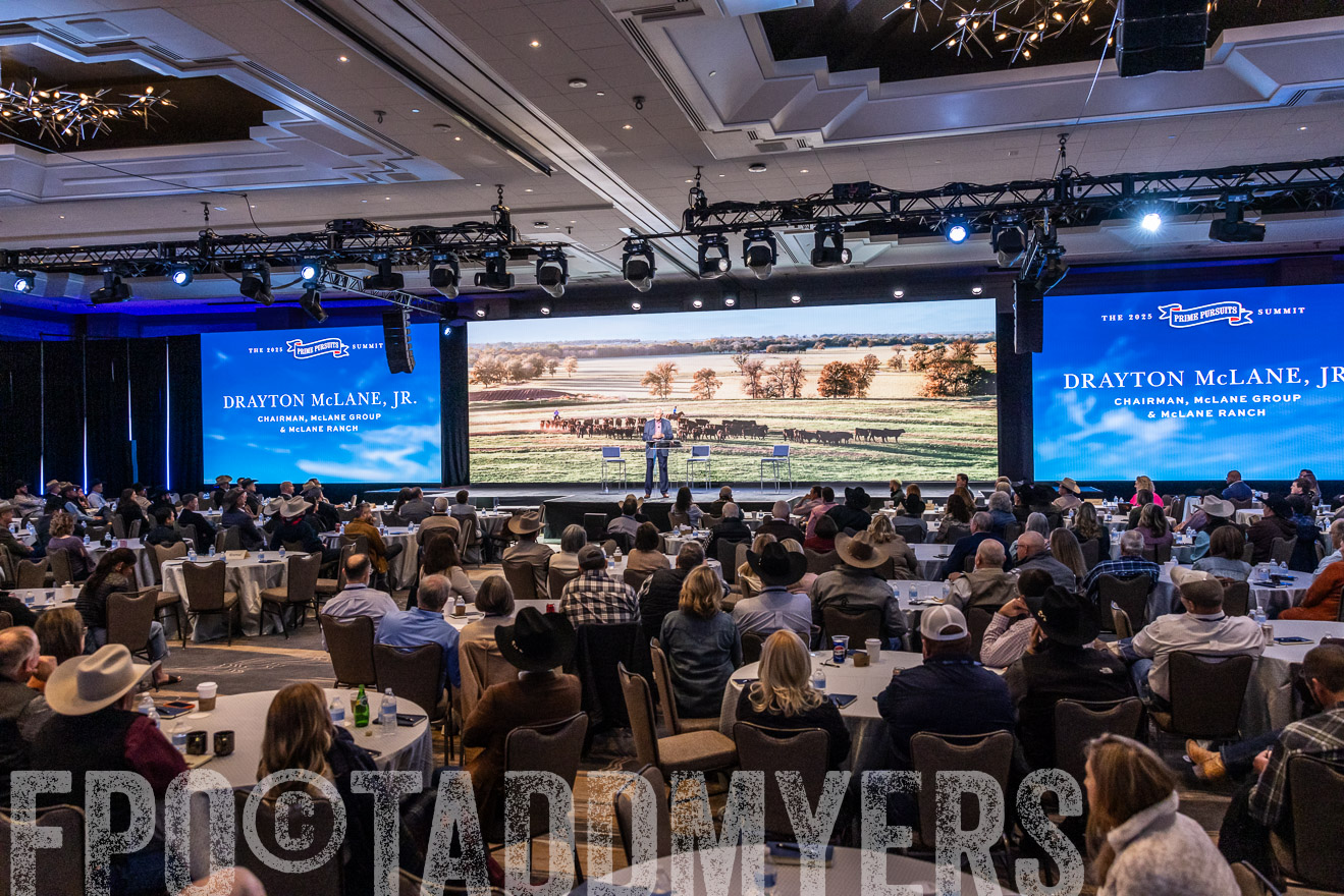 TMyers_PP_Summit_Scottsdale_Jan2025-519876