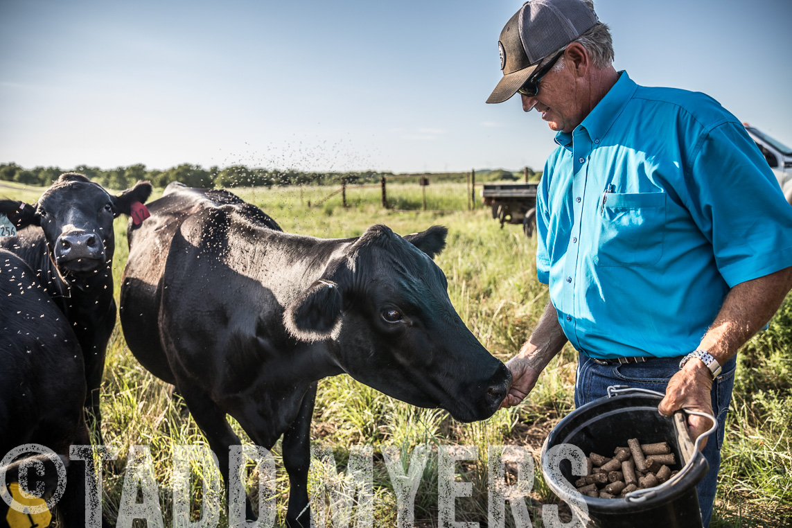 TMyers_Agriventure_GrahamTX_July2020-43346