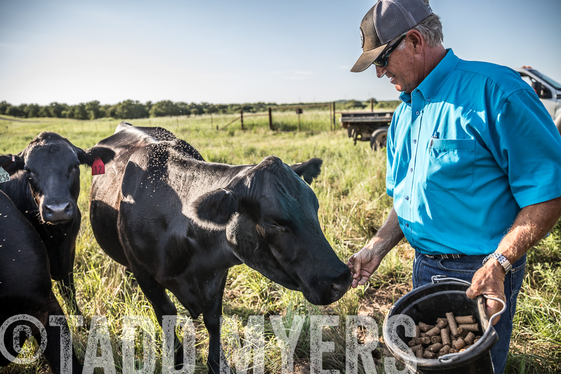 TMyers_Agriventure_GrahamTX_July2020-43347