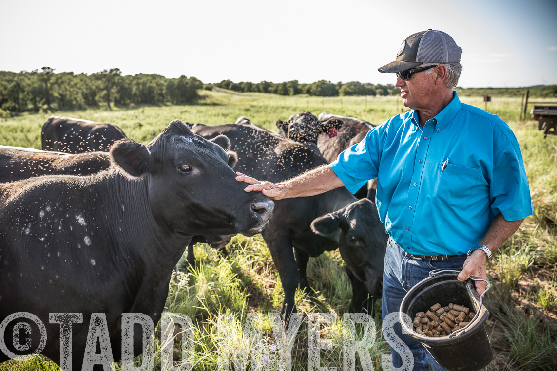 TMyers_Agriventure_GrahamTX_July2020-43366