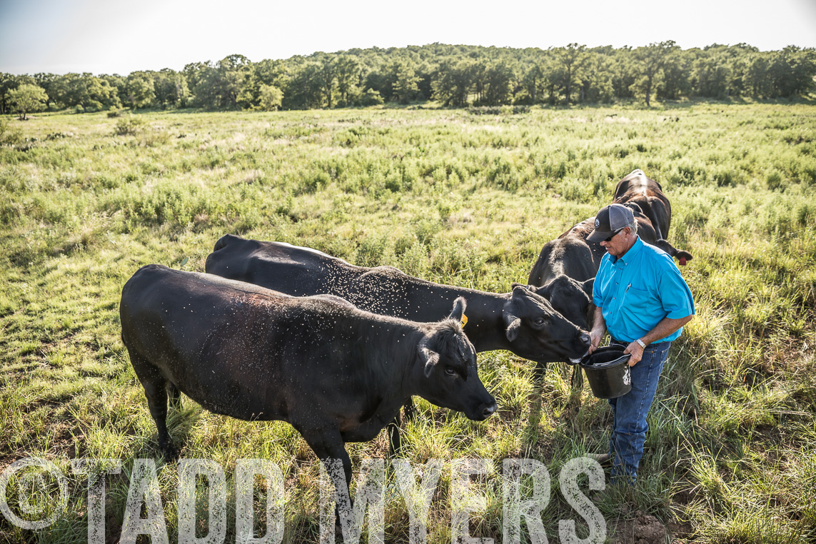 TMyers_Agriventure_GrahamTX_July2020-43433