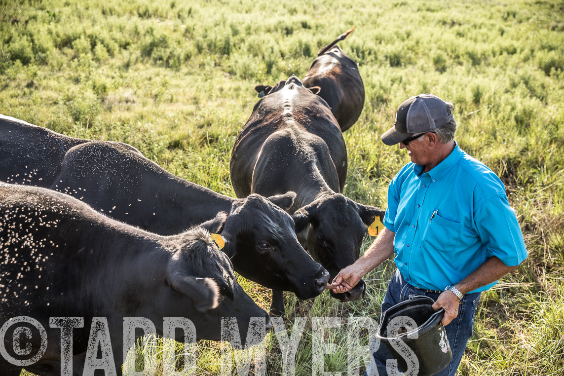 TMyers_Agriventure_GrahamTX_July2020-43454