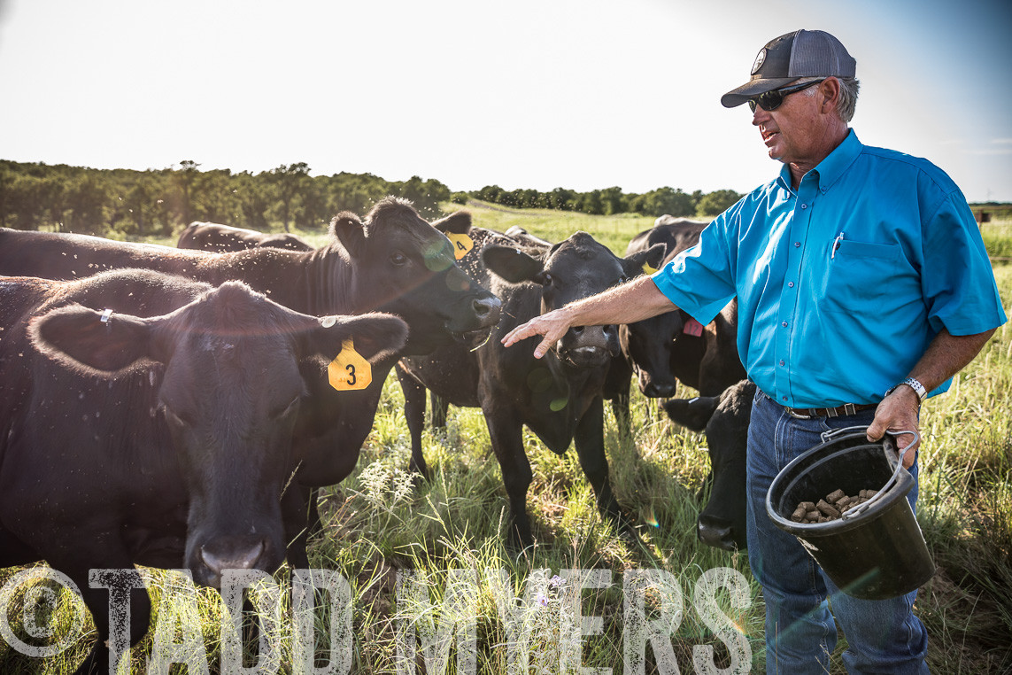 TMyers_Agriventure_GrahamTX_July2020-43367
