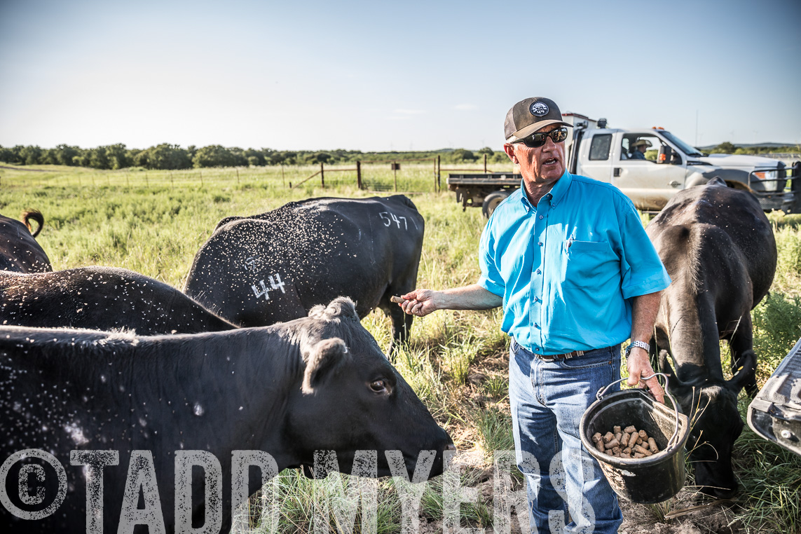 TMyers_Agriventure_GrahamTX_July2020-43404
