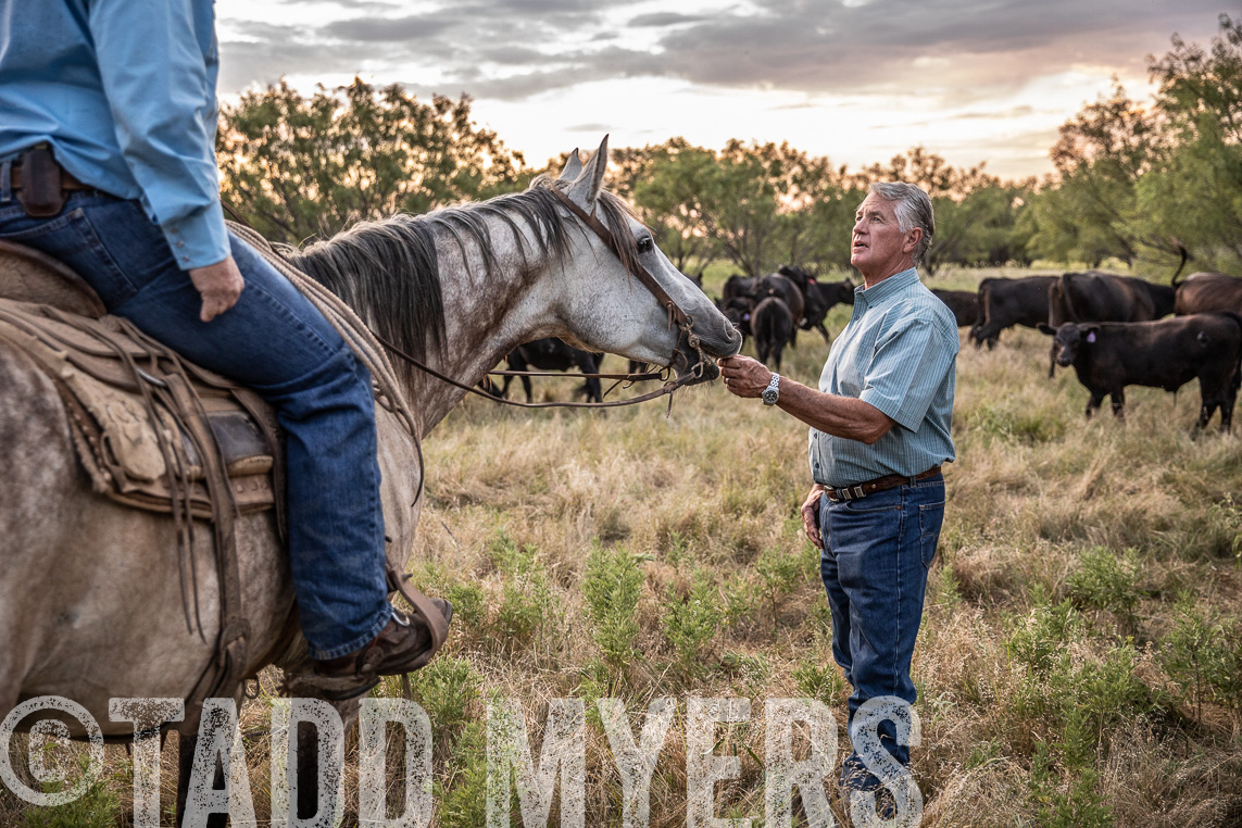 TMyers_Agriventure_GrahamTX_July2020-44601
