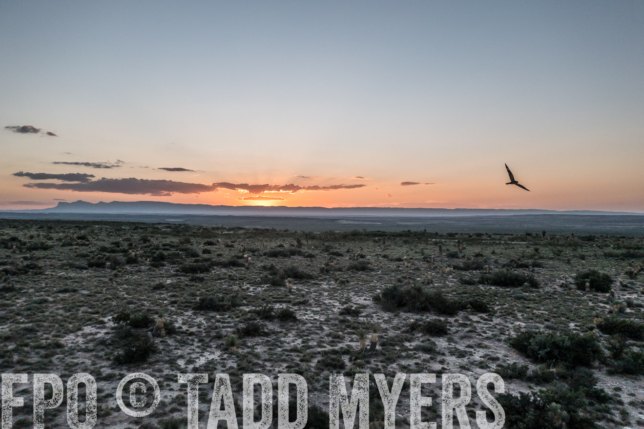 TMyers_Cimarex_TX_July2021-0125