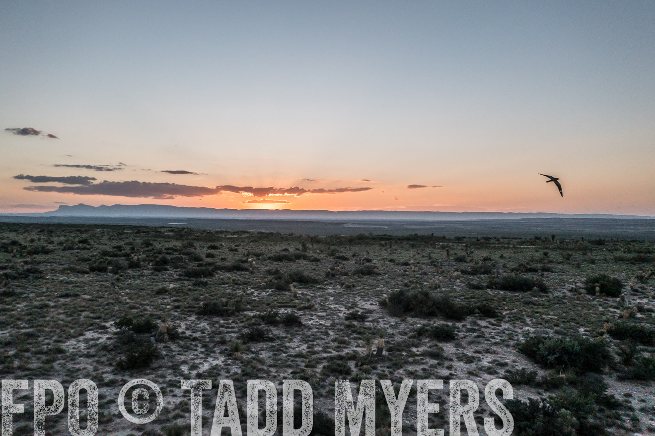 TMyers_Cimarex_TX_July2021-0126