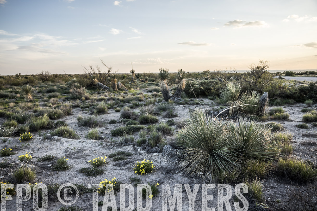 TMyers_Cimarex_TX_July2021-524990