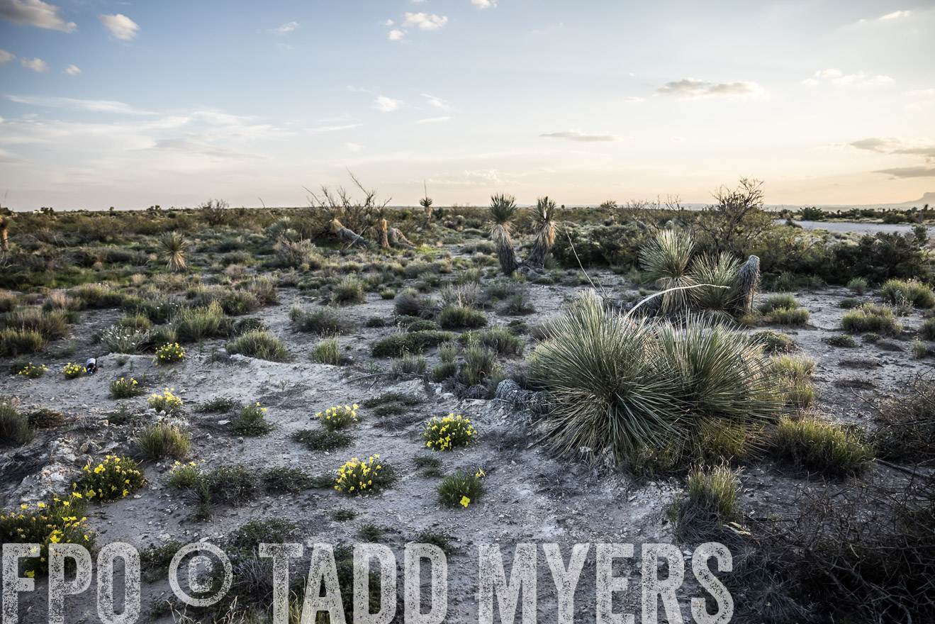 TMyers_Cimarex_TX_July2021-524994
