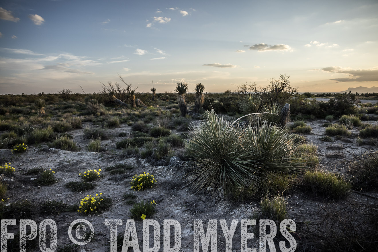 TMyers_Cimarex_TX_July2021-524998