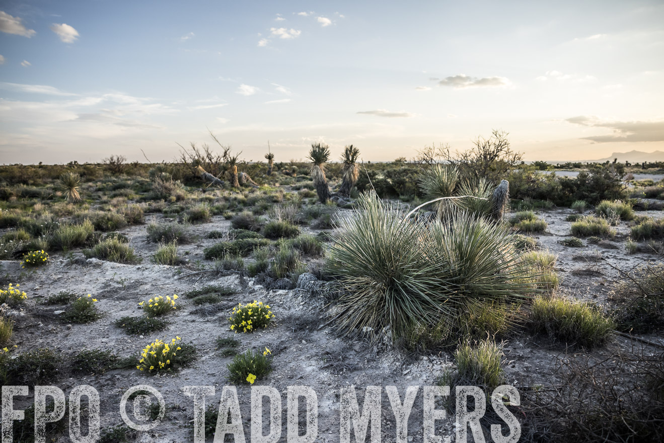 TMyers_Cimarex_TX_July2021-525000