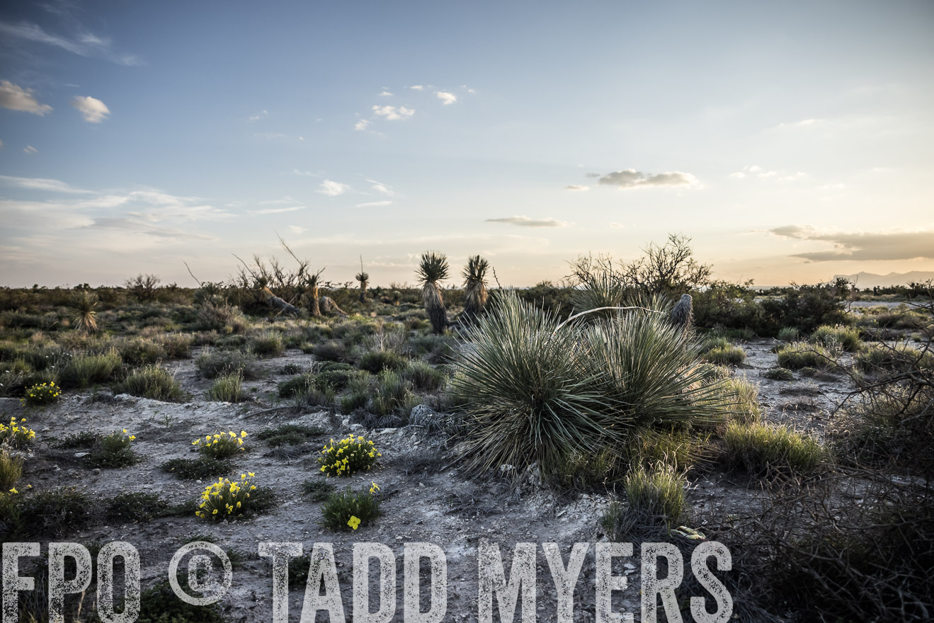 TMyers_Cimarex_TX_July2021-525012