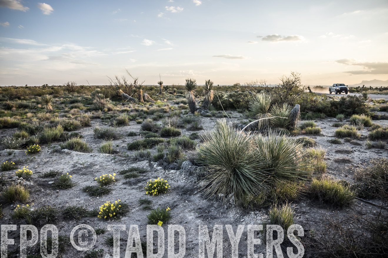 TMyers_Cimarex_TX_July2021-525018