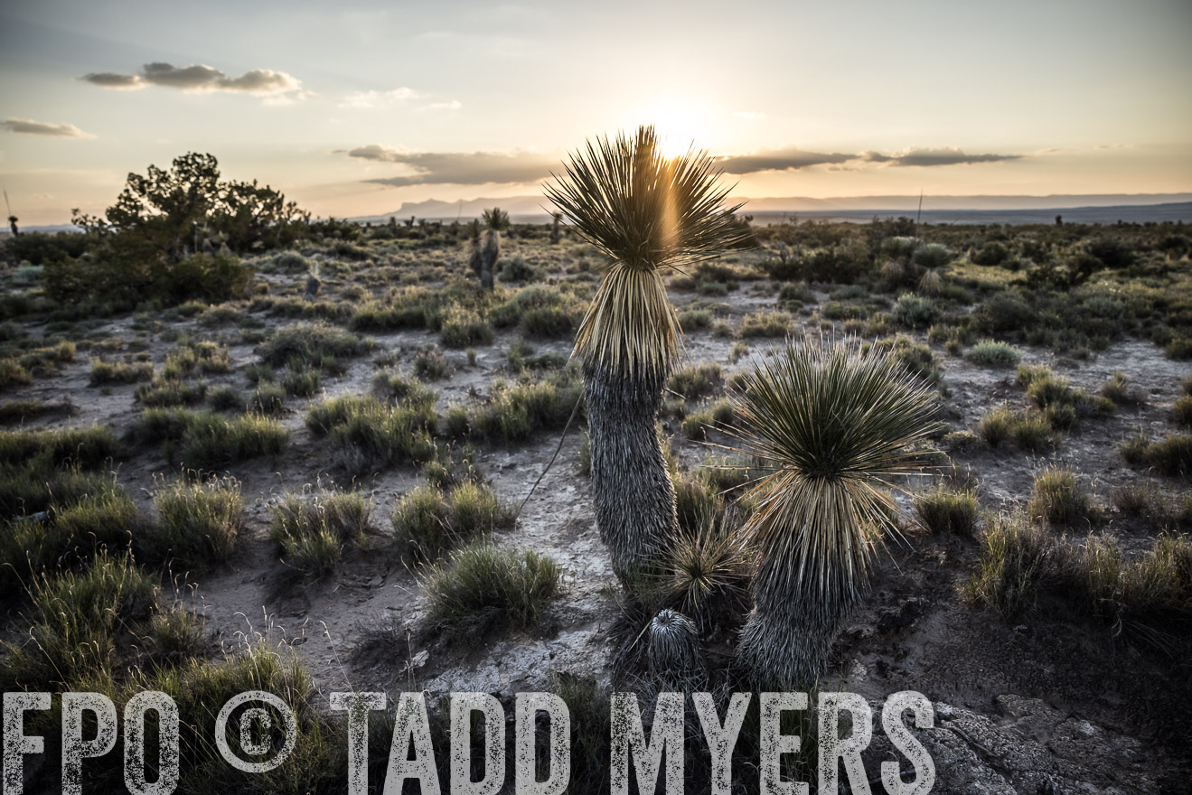 TMyers_Cimarex_TX_July2021-525022