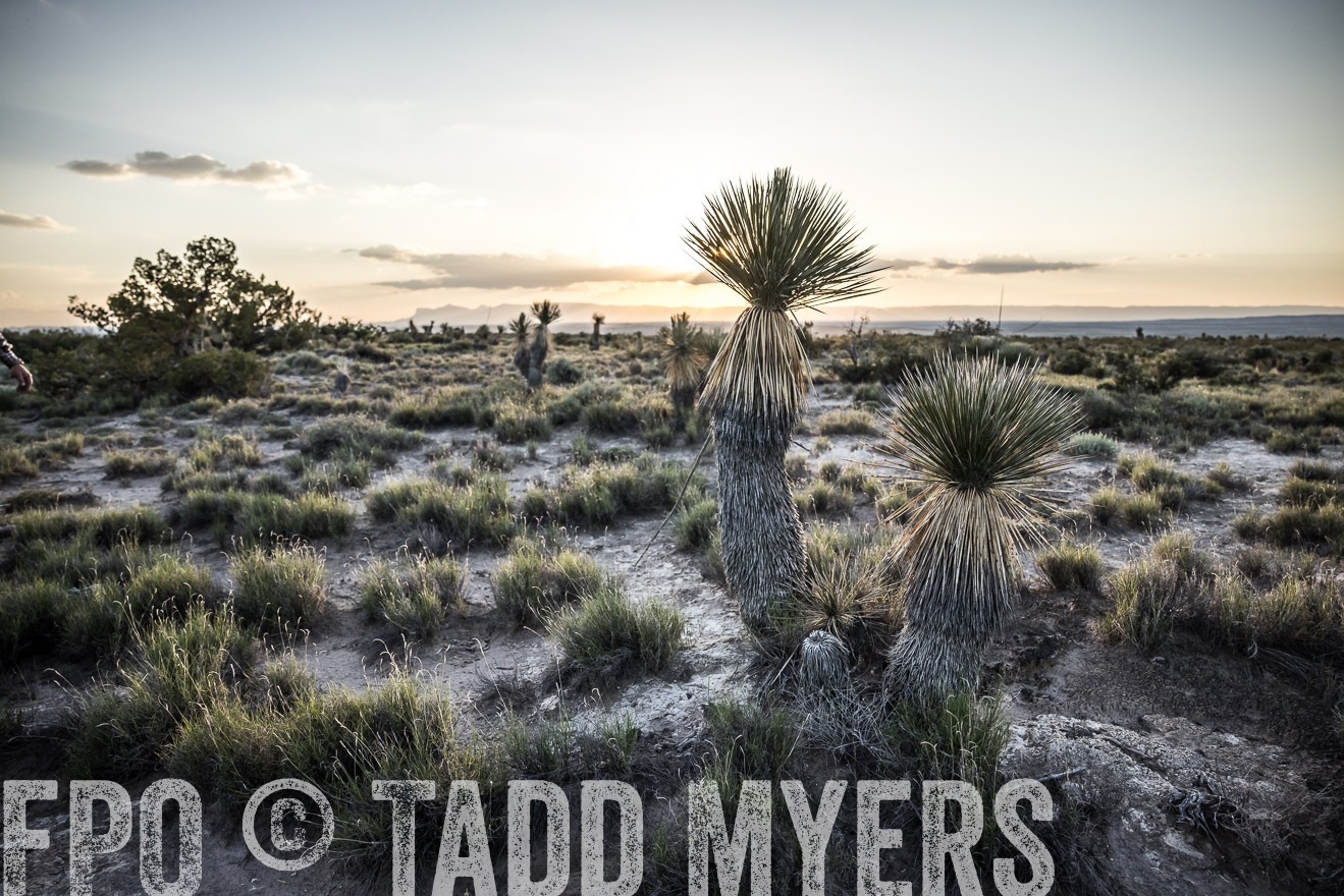 TMyers_Cimarex_TX_July2021-525027