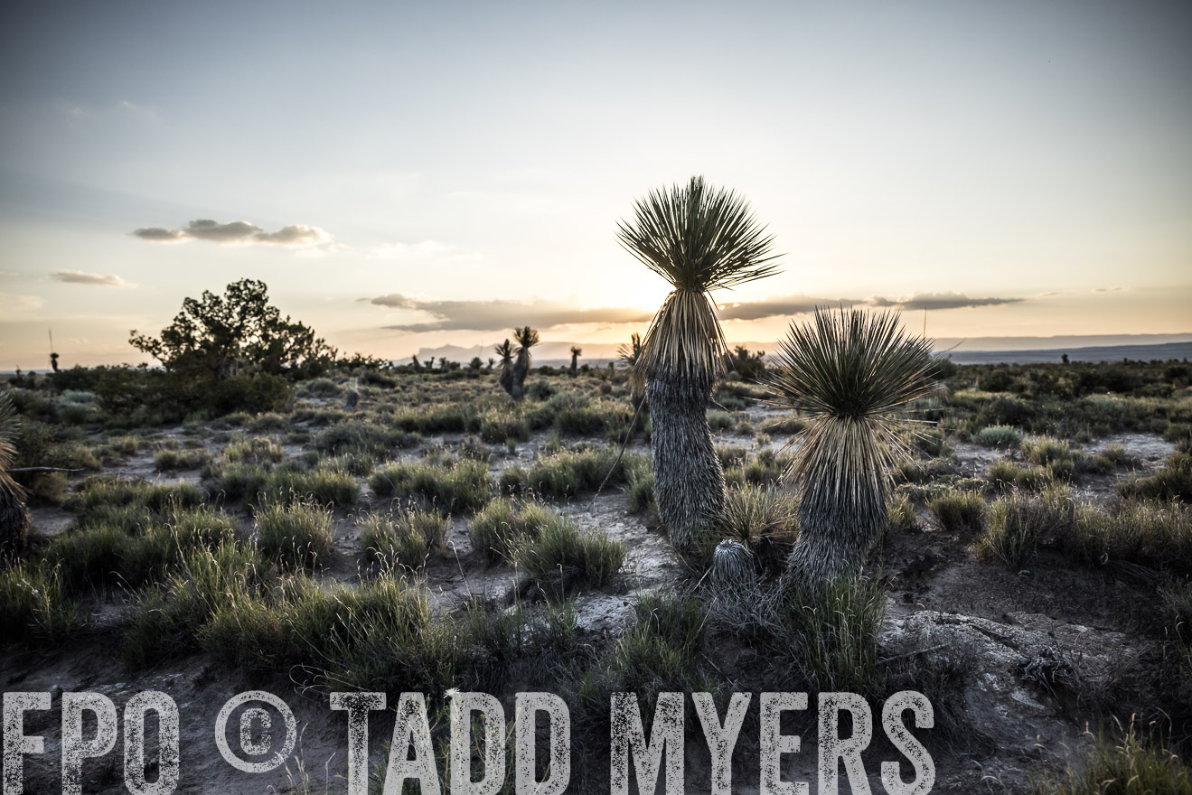 TMyers_Cimarex_TX_July2021-525030