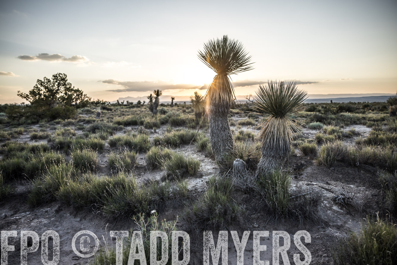 TMyers_Cimarex_TX_July2021-525042