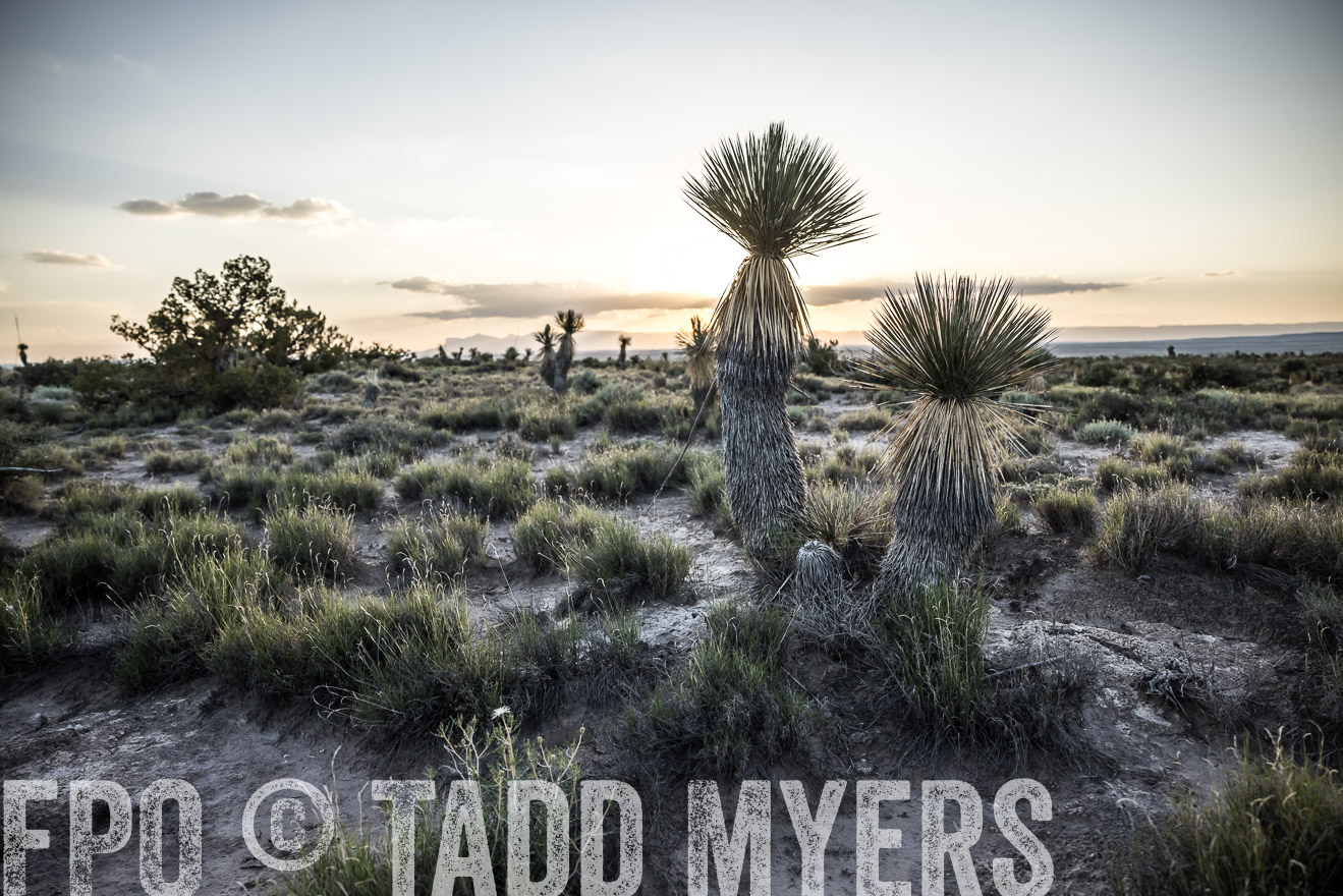 TMyers_Cimarex_TX_July2021-525045