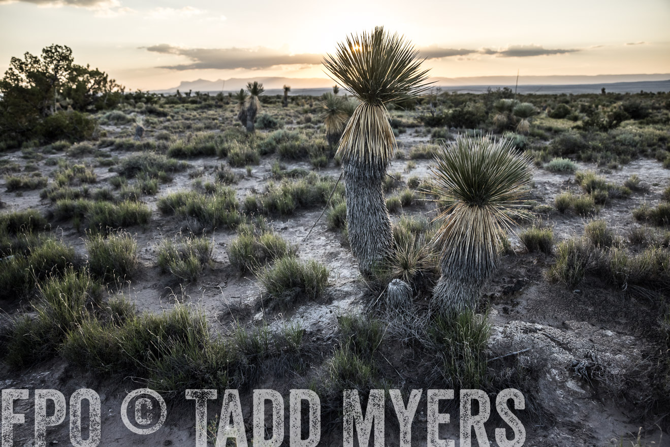 TMyers_Cimarex_TX_July2021-525052