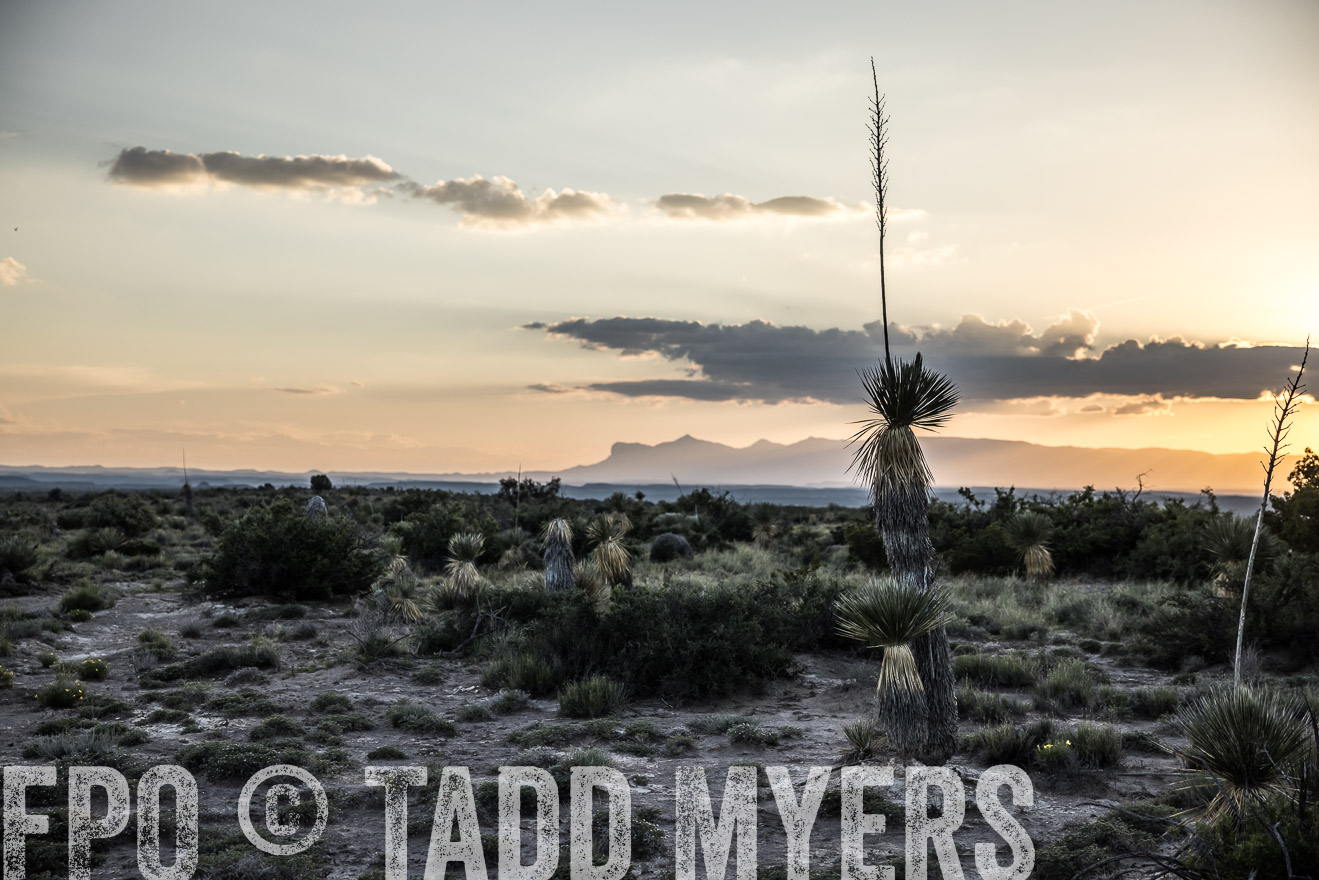 TMyers_Cimarex_TX_July2021-525060