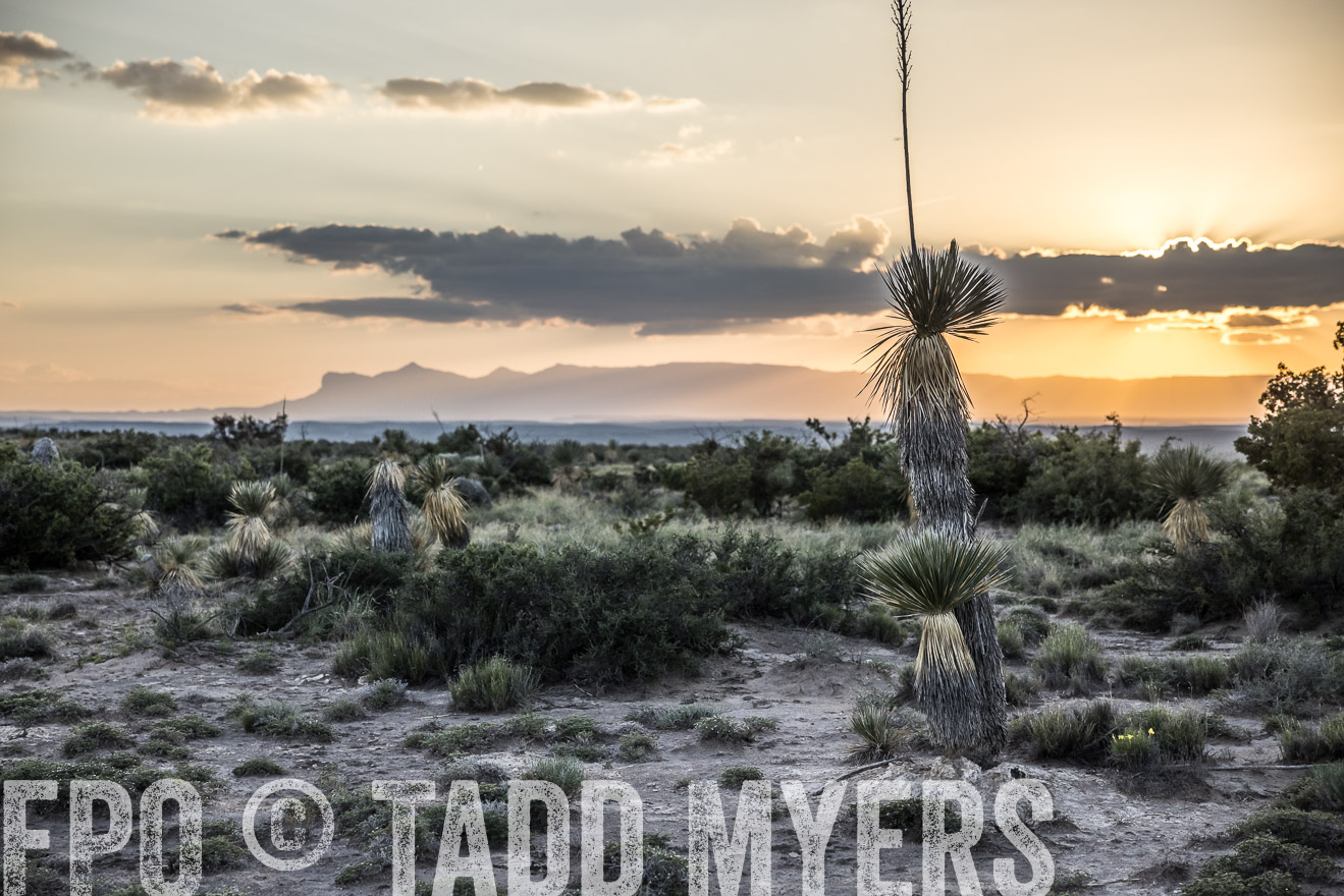 TMyers_Cimarex_TX_July2021-525067