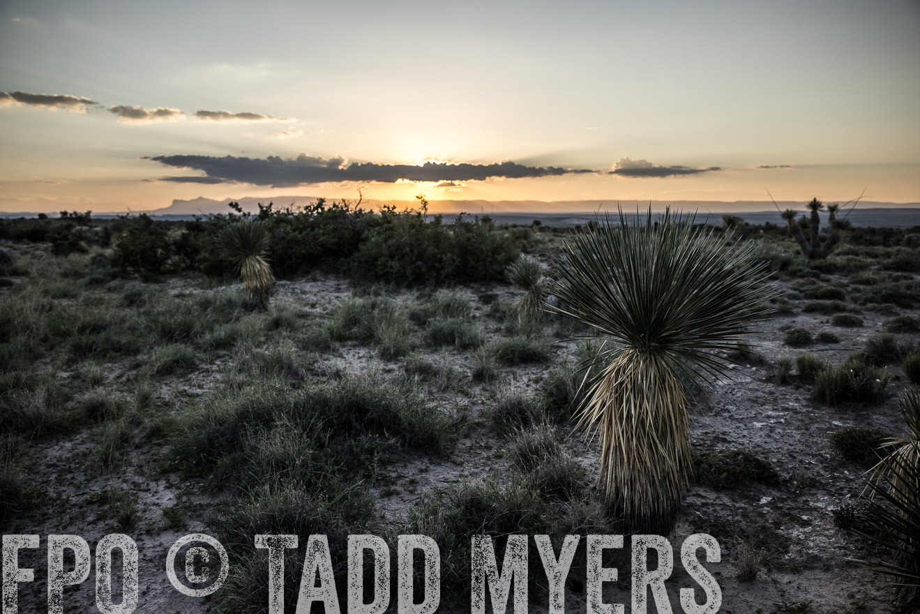 TMyers_Cimarex_TX_July2021-525070
