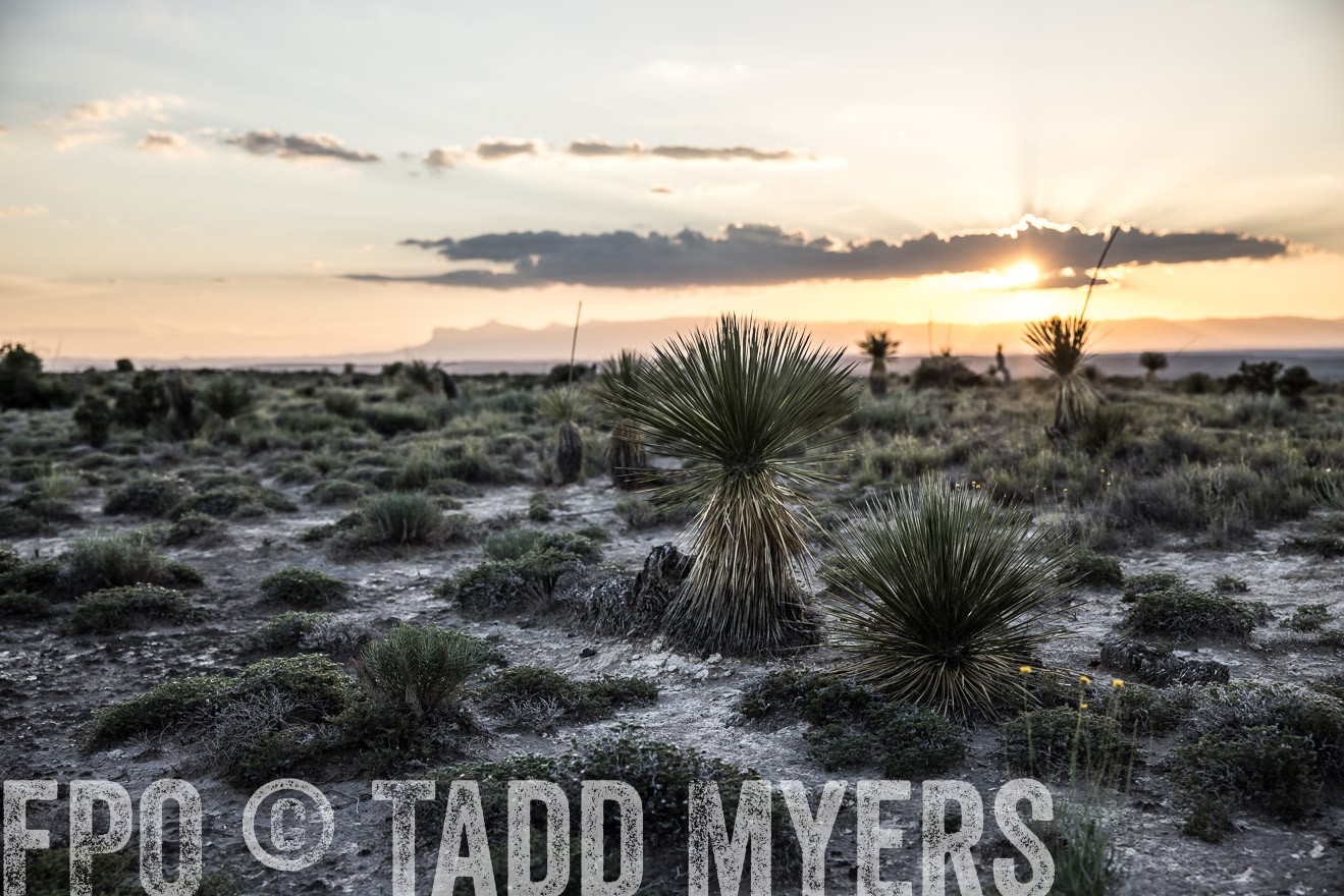 TMyers_Cimarex_TX_July2021-525084