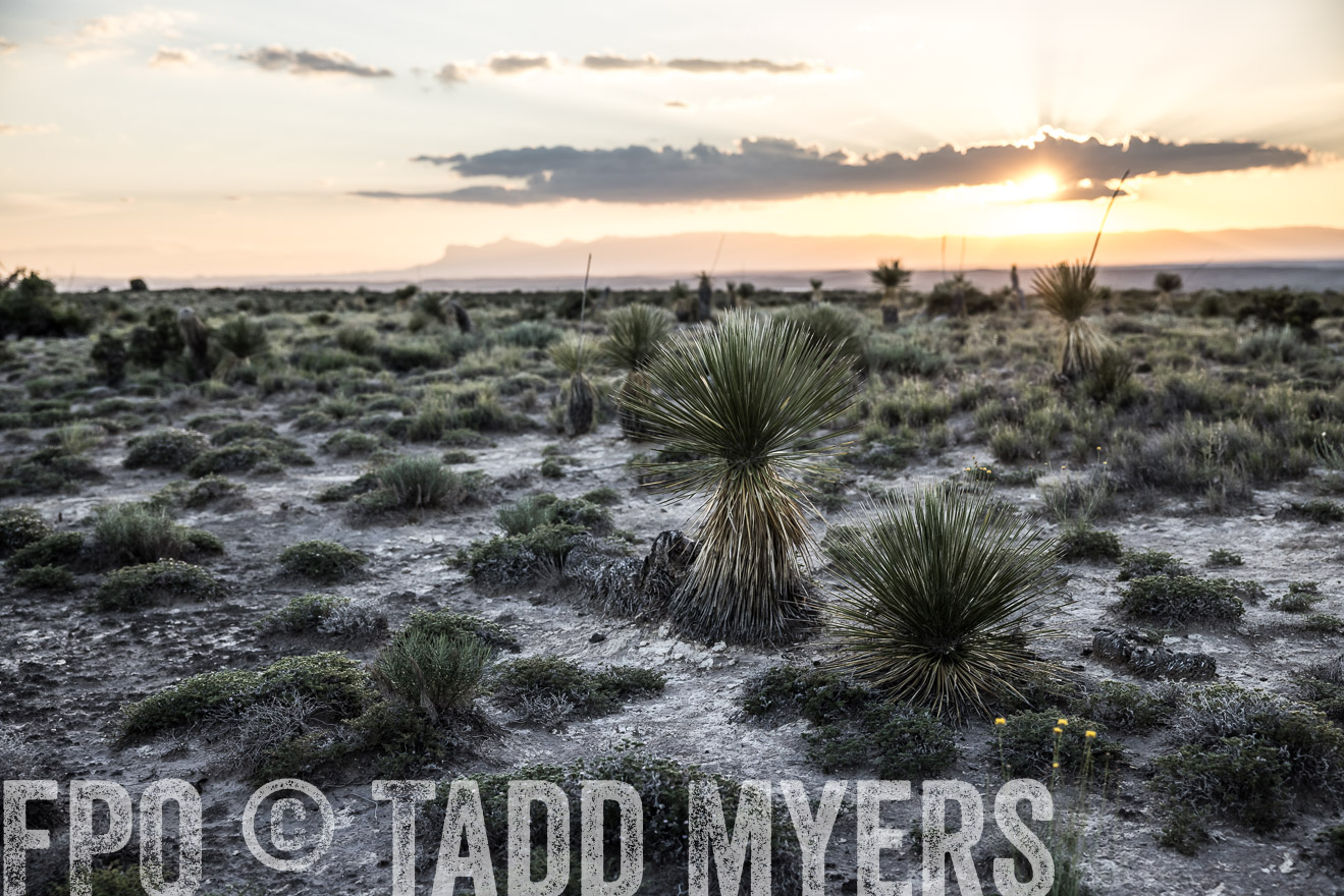 TMyers_Cimarex_TX_July2021-525087