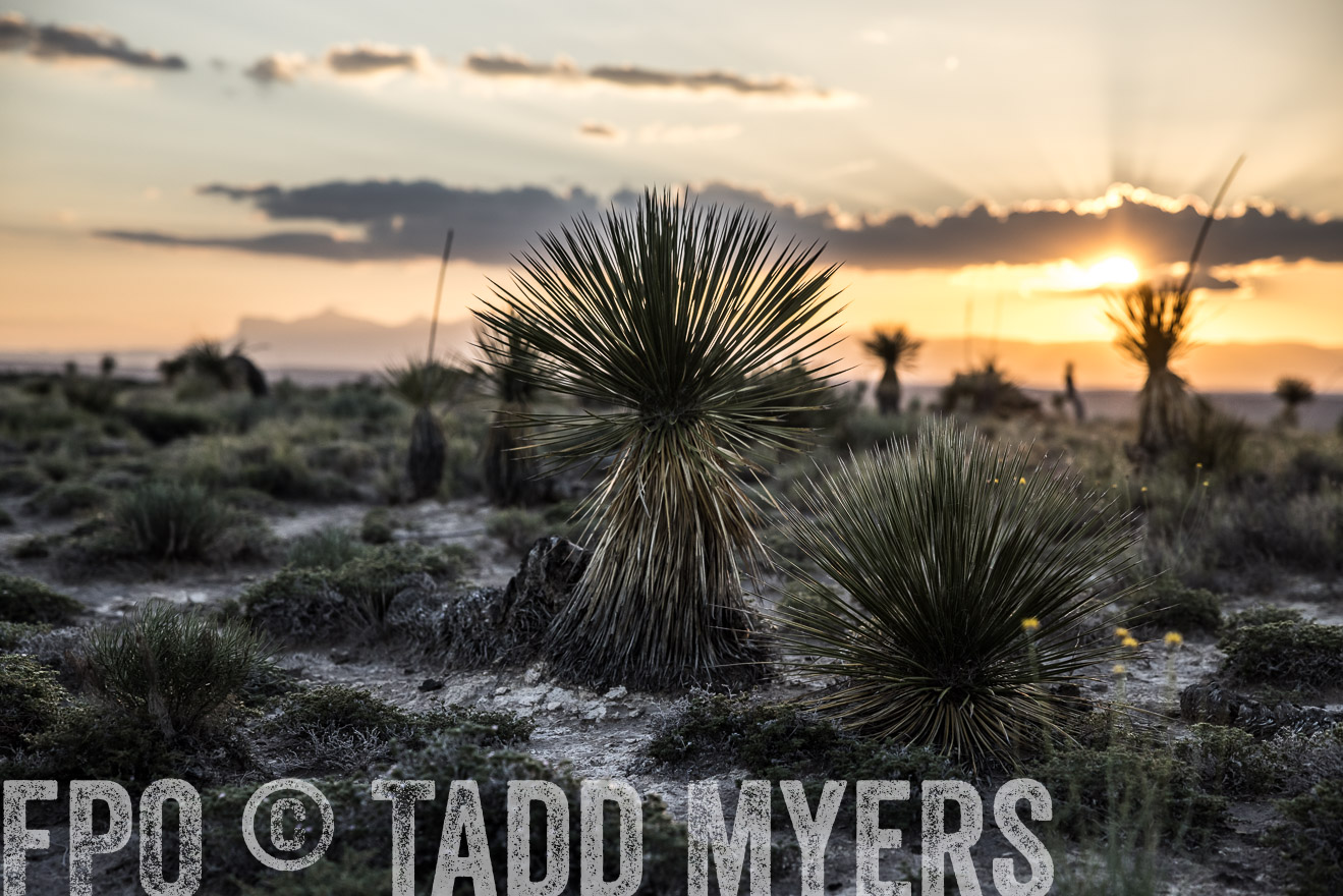 TMyers_Cimarex_TX_July2021-525093